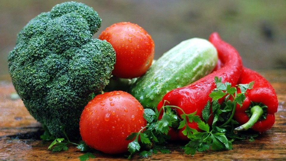 Grossiste Distributeur Food, to sell